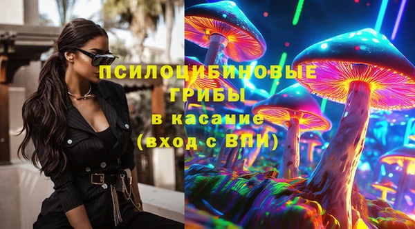 мет Бородино